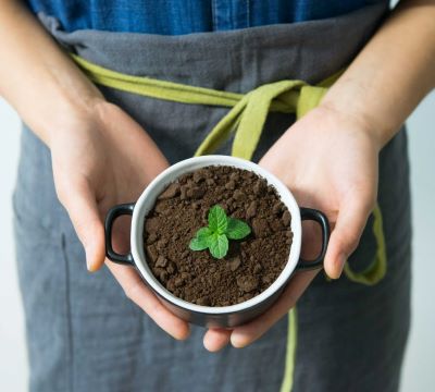 A person holding a plant