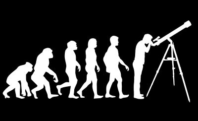 Evolution chart